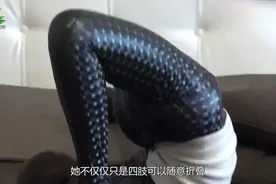全世界最牛的柔术。曾把自己装进冰箱里视频封面