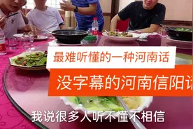 河南话中最难听懂的就是信阳话，能听懂的都是大神，你能听懂多少视频封面