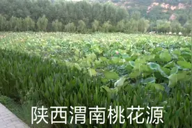 自驾西藏路上，陕西渭南桃花源下集，紫阳古镇里面转一转，走了视频封面
