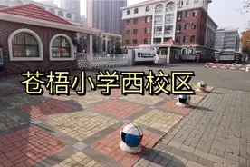 连云港最好小学的一个学区，一个年级多少班？在校生大约有多少？视频封面
