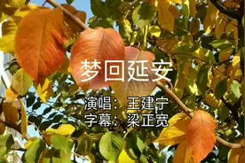 王建宁在延安枣园演唱《梦回延安》视频封面