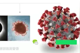 ]新型冠状病毒是什么？显微镜放大1000倍，看到图像不淡定视频封面
