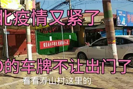 河北冀牌子的货车都不让出门了，在家坚决不给政府添乱视频封面