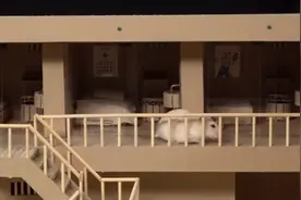 仓鼠越狱（Hamster KONG Prison break）视频封面