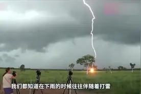 为什么雷电专劈大树？木头不是绝缘体吗？这下涨知识了