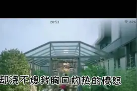 那英《征服》好听的旋律精典歌词令人感慨视频封面