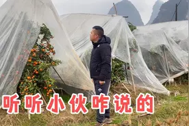 砂糖橘3元不肯卖，没想到如今却后悔不已，听听他是咋说的视频封面