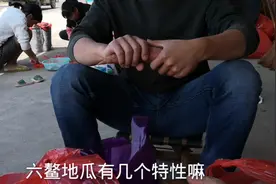 福建南部六鳌小镇，当地盛产地瓜，教你如何分辨正宗六鳌地瓜视频封面