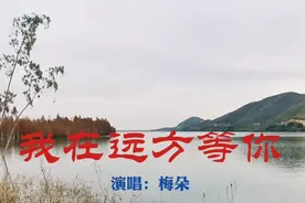梅朵一曲DJ情歌《我在远方等你》旋律优美，深情好听视频封面