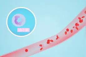 血小板高是怎么回事？和哪些病有关？听听专家怎么说视频封面