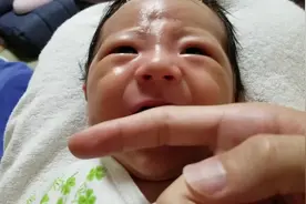 刚刚出生的宝宝饿坏了，一碰到爸爸的手指就开始疯狂吮起来了……视频封面