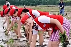 空姐穿制服下地插秧～感恩还是体验农家乐？视频封面