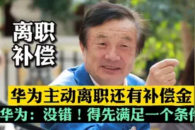 华为：主动离职还有补偿金，20万起步，但必须满足这个条件视频封面