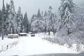 都江堰龙池雪景视频封面