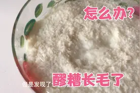 做的醪糟长毛了，还能吃吗？分析一下原因视频封面