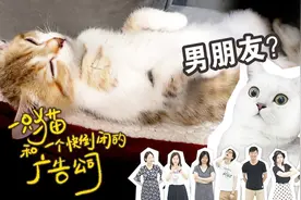 一只猫和一个快倒闭的广告公司—第五话：男友变闺蜜视频封面