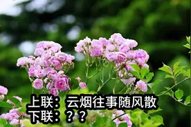上联：云烟往事随风散，下联？诗词书法对联视频封面