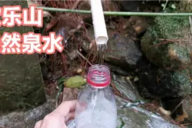 传说歌乐山上有一股天然泉水，养生保健功效独特很多人慕名而来。视频封面