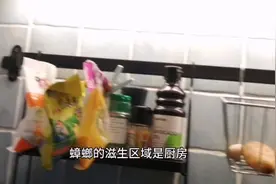 出费400块，小伙上门灭蟑螂，学会一单几百块，大家都可以做。视频封面