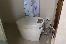 三叔家无美缝的瓷砖，铺贴平整美观，第一次遇到马桶安装如此奇葩视频封面