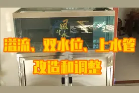 鱼缸挡水板、双水位、上水管改造调整视频封面