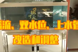 鱼缸挡水板、双水位、上水管改造调整视频封面