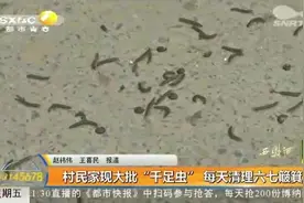 吓人！村民家中现大批“千足虫”，密密麻麻满地爬，又恐惧又恶心视频封面