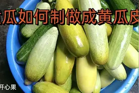 广西博白特产黄瓜皮，教大家如何制作成黄瓜皮，最重要不要沾到油视频封面