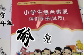 一学期快要结束了，偷偷看闺女的小学生评价手册，里面画得真好！