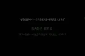 这是我的战争1:放养军营喽！