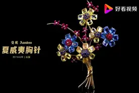珠宝最多的温莎公爵夫人心爱之物，揭秘二战时期的梵克雅宝胸针视频封面