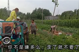 山东济宁邹城香城镇  实拍农村田园生活，看看大家都在忙什么？视频封面