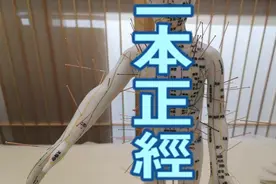 经络穴位模型视频封面
