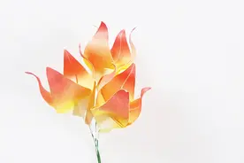 手工纸艺教程，火焰花的折纸方法，不仅简单还非常漂亮！视频封面