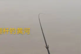 绷杆钓是什么钓法？探钓济南黄河！不建议来玩 命要紧！视频封面