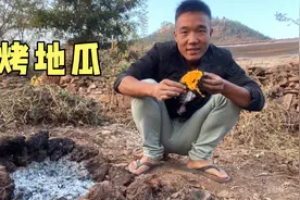 农村童年的记忆，垒一个土窑烤红薯，香味扑鼻太好吃了视频封面