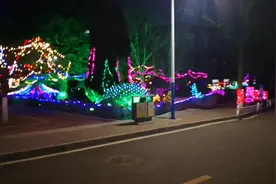 為了科研第一次留校過年视频封面