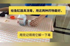 鱼缸消毒高锰酸钾和二氧化氯最好，使用技巧和还原技巧要掌握视频封面