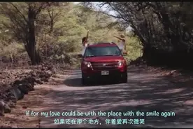 欧美电子音乐《One More Time》这治愈般的欧美男嗓让人无法抗拒视频封面