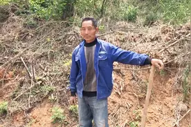 农村种植烟草，也不是谁都能种的，需要满足这些条件视频封面