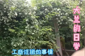 企业工商注销流程，需要准备那些资料？视频封面