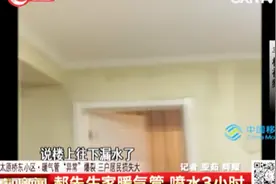 小孩发现自家墙壁渗水，马上通知家长，楼上竟成一片汪洋！视频封面