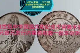 袁世凯中华民国共和国纪念币背嘉禾壹元银元发行内幕很有趣来听听视频封面