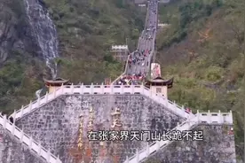 李娜为什么出家，她的出家之谜视频封面
