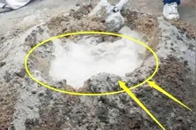 为什么农村盖房子，一些师傅要在水泥里掺洗衣粉？看完可算明白了视频封面