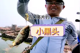 马口亮片中黑头！m硬度路亚竿抛1克铅头钩，一次不正经的海边根钓