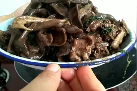 乡村妹子，用罕见狗爪豆焖鸭子，鲜美好吃，还有补肾功效视频封面