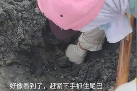 沙子下面的珍贵虫子，价格昂贵，市场却无货供应，看看怎么来的视频封面