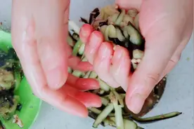 长满籽的老茄子千万别扔，这样做劲道开胃，一人两个茄子不够吃！视频封面
