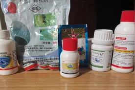 农业科普：假农药最可恨，老农资人教你购买农药时如何辨别真假！视频封面